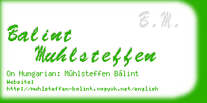 balint muhlsteffen business card